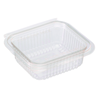 Rectangular PLA clear box with hinged lid